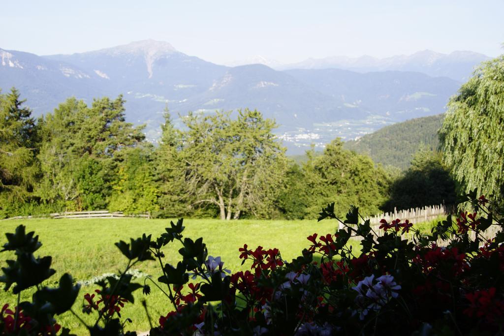 Gastreinhof Meltina Extérieur photo